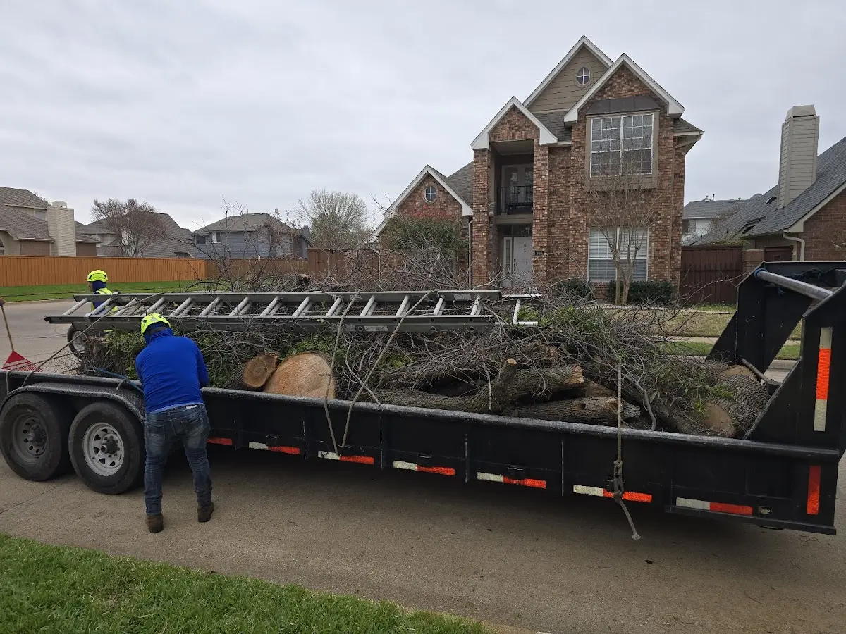 Expert Lot Clearing with proper safety equipment in Sag Harbor